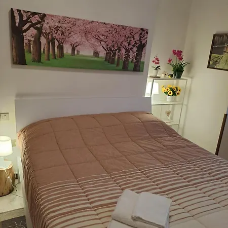 Daire Valtellina Holidays Sondrio